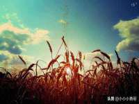 义乌市汀屹电子商务商行