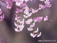 义乌市汀屹电子商务商行