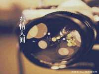 义乌市汀屹电子商务商行