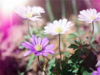 义乌市汀屹电子商务商行