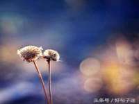 义乌市汀屹电子商务商行