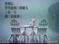 义乌市汀屹电子商务商行