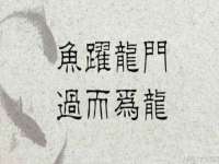 义乌市汀屹电子商务商行