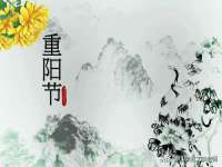 义乌市汀屹电子商务商行