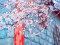 义乌市汀屹电子商务商行
