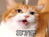 义乌市汀屹电子商务商行