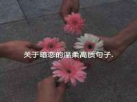义乌市汀屹电子商务商行