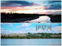 义乌市汀屹电子商务商行