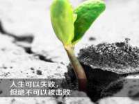 义乌市汀屹电子商务商行