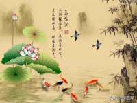 义乌市汀屹电子商务商行