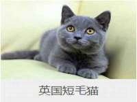 义乌市汀屹电子商务商行