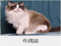 义乌市汀屹电子商务商行