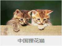 义乌市汀屹电子商务商行