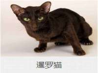 义乌市汀屹电子商务商行