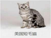 义乌市汀屹电子商务商行