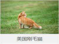 义乌市汀屹电子商务商行