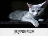 义乌市汀屹电子商务商行