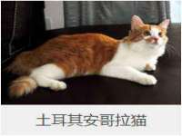义乌市汀屹电子商务商行