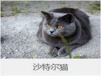 义乌市汀屹电子商务商行