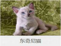 义乌市汀屹电子商务商行