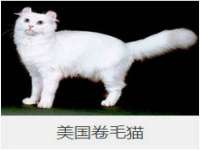 义乌市汀屹电子商务商行