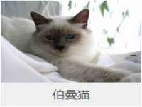 义乌市汀屹电子商务商行