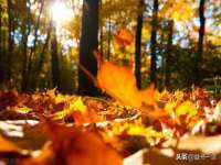 义乌市汀屹电子商务商行