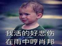义乌市汀屹电子商务商行