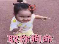 义乌市汀屹电子商务商行