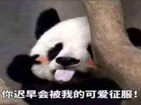 义乌市汀屹电子商务商行