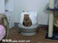 义乌市汀屹电子商务商行