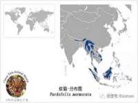 义乌市汀屹电子商务商行