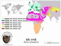 义乌市汀屹电子商务商行