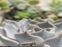 义乌市汀屹电子商务商行