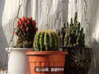 义乌市汀屹电子商务商行