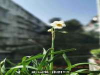 义乌市汀屹电子商务商行
