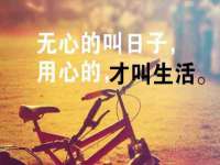 义乌市汀屹电子商务商行