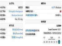 义乌市汀屹电子商务商行