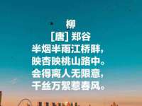 义乌市汀屹电子商务商行