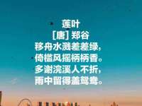 义乌市汀屹电子商务商行