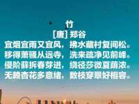 义乌市汀屹电子商务商行