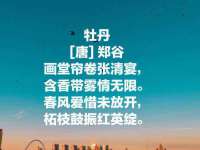 义乌市汀屹电子商务商行