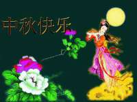 义乌市汀屹电子商务商行