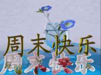 义乌市汀屹电子商务商行