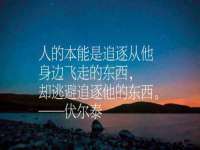 义乌市汀屹电子商务商行