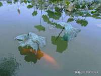 义乌市汀屹电子商务商行