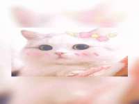 义乌市汀屹电子商务商行