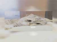 义乌市汀屹电子商务商行