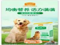 义乌市汀屹电子商务商行