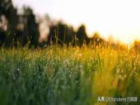 义乌市汀屹电子商务商行